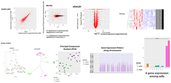 analysis examples